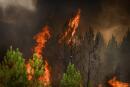 TOPSHOT - This photograph taken on August 11, 2022 shows burning pine trees near Saint-Magne, southwestern France. (Photo by Philippe LOPEZ / AFP)