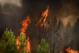 Incendie près de Saint-Magne (Gironde), le 11 août 2022.