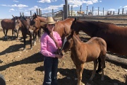 Taylor, 13, and her horses.