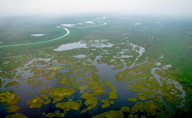 South Sudan project to curb flooding could threaten crucial marshlands