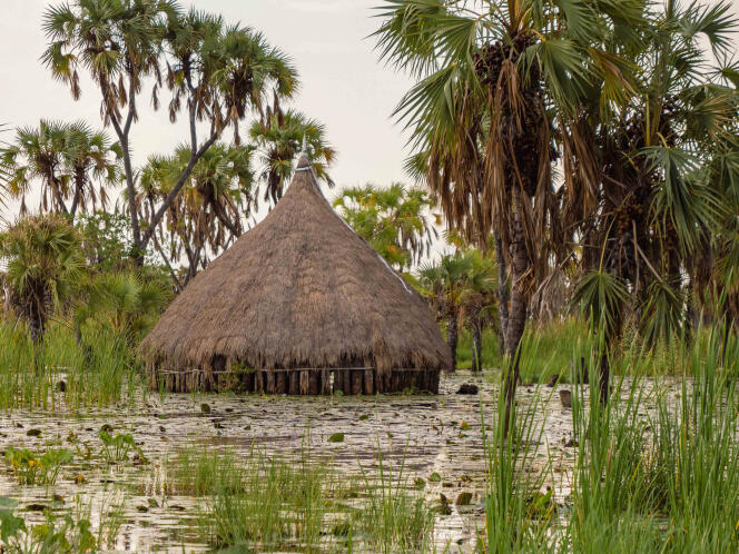 Une hutte servant à abriter le bétail est inondée, dans un village près des îles de Kuernyapuol au Soudan du Sud, en juin 2022. Les éleveurs se sont tournés vers la pêche pour subvenir à leurs besoins.