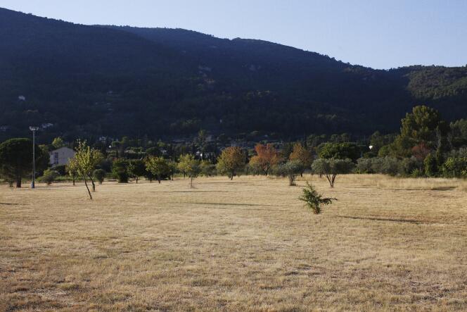 In the village of Seillans, in southern France, pictured on July 31, the grass and trees are suffering from lack of water
