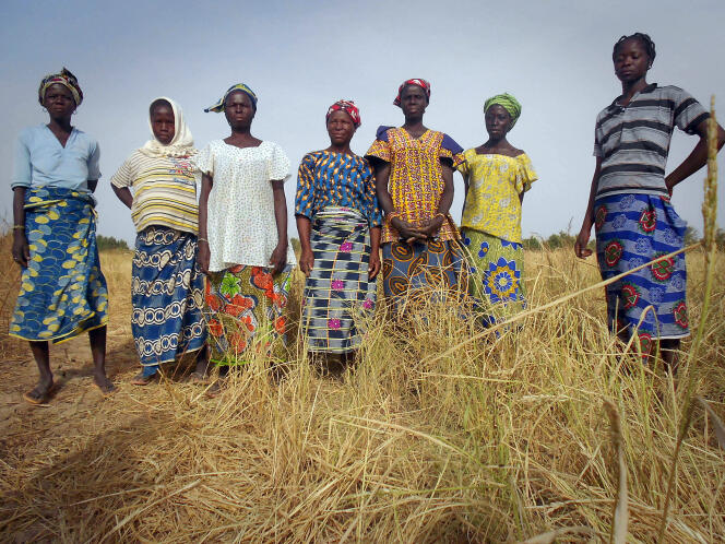 Rizière desséchée à Kaya, au Burkina Faso.