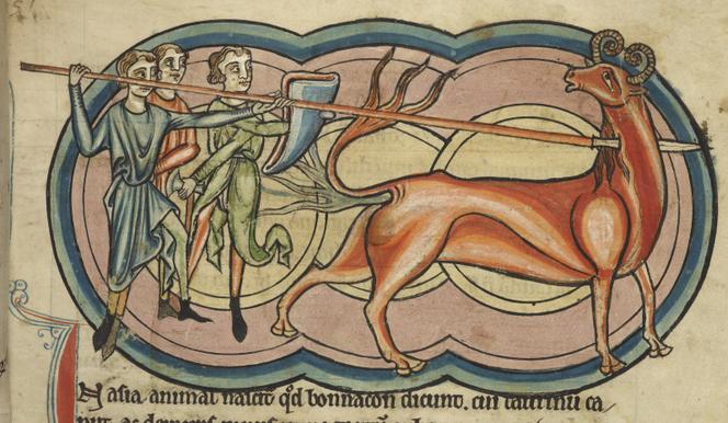 Illustration from an English work (1230–1240).
