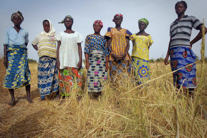A dried-up rice field in Kaya, Burkina Faso.