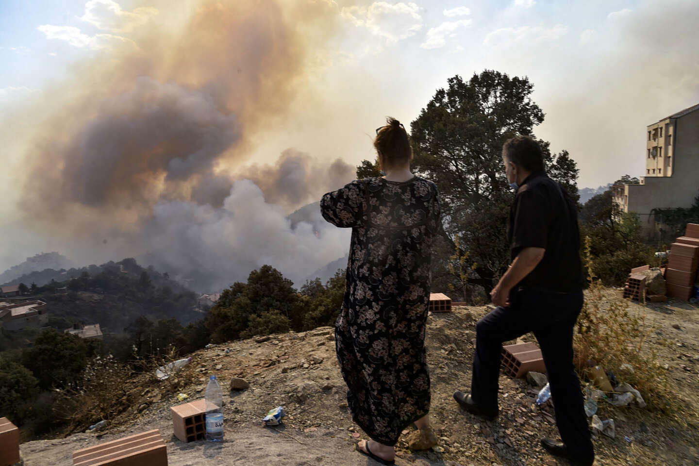 En Algérie, les feux de forêt ont fait au moins 26 morts