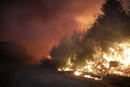 Fire spreads along a country road in Gouveia, in the Serra da Estrela mountain range, in Portugal on Thursday, Aug. 18, 2022. Authorities in Portugal said Thursday they had brought under control a wildfire that for almost two weeks raced through pine forests in the Serra da Estrela national park, but later in the day a new fire started and threatened Gouveia. (AP Photo/Joao Henriques)
