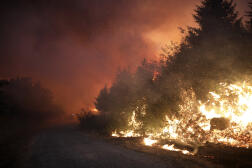 Un incendie ravage les environs de Gouveia, dans le parc national Serra da Estrela, au Portugal, le 18 août 2022. 

