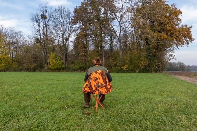 Lors d’une chasse au petit gibier en forêt rhénane, en Alsace, en novembre 2019.