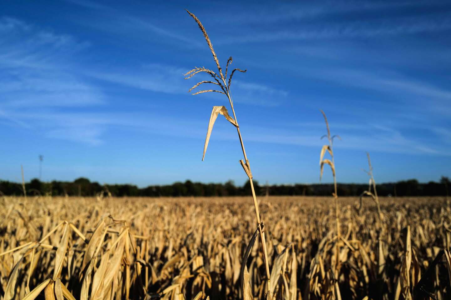 « Face à la sécheresse, changeons de modèle agricole »