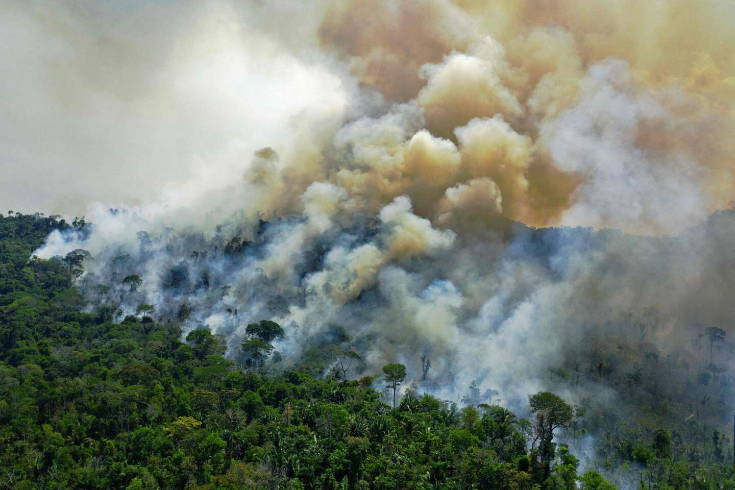 Brazil's Amazon records worst day for forest fires in 15 years