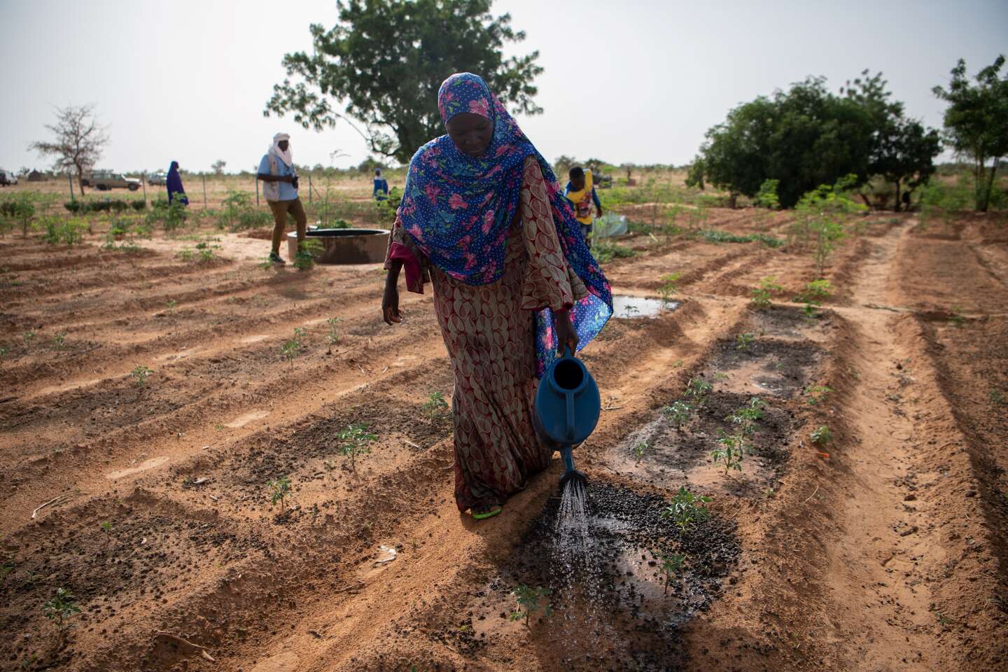 Le Niger provoque des pluies pour éloigner le spectre de la sécheresse