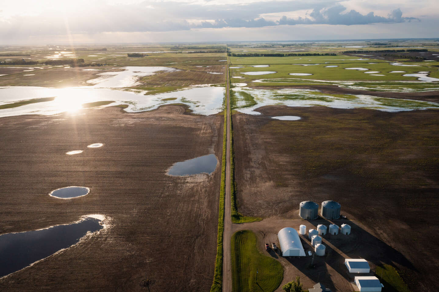 Les terres du Dakota du Nord, grenier à blé des Etats-Unis, suscitent la convoitise de Bill Gates