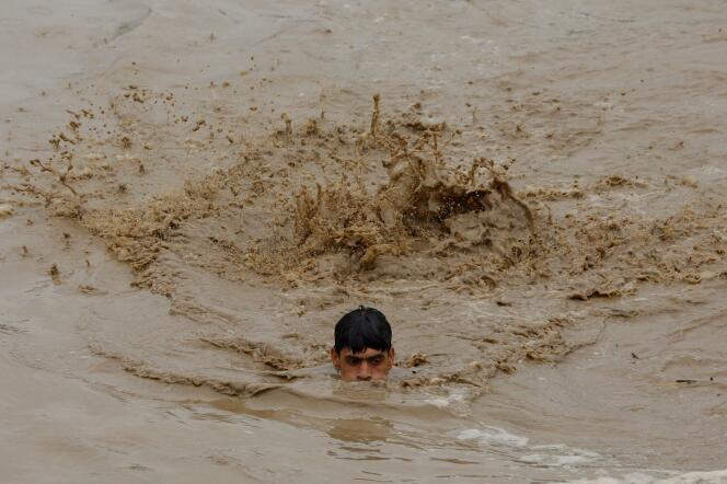 Un hombre nada en las aguas de un río que se desbordó en Charsadda, Pakistán, el 27 de agosto.