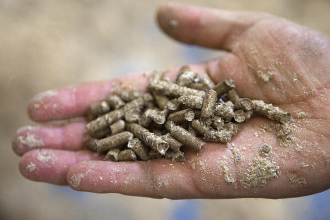 En un año, el precio de una tonelada de pellets de madera se ha duplicado, pasando de 300 a 600 euros.