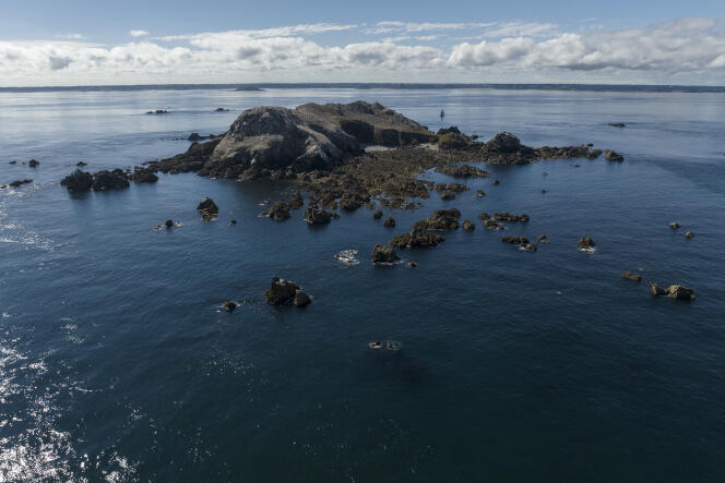 Isla Rouzic, 24 de agosto de 2022, en el archipiélago de Sept-Iles.  Es una reserva natural donde está prohibido desembarcar y donde suelen venir a criar los alcatraces.