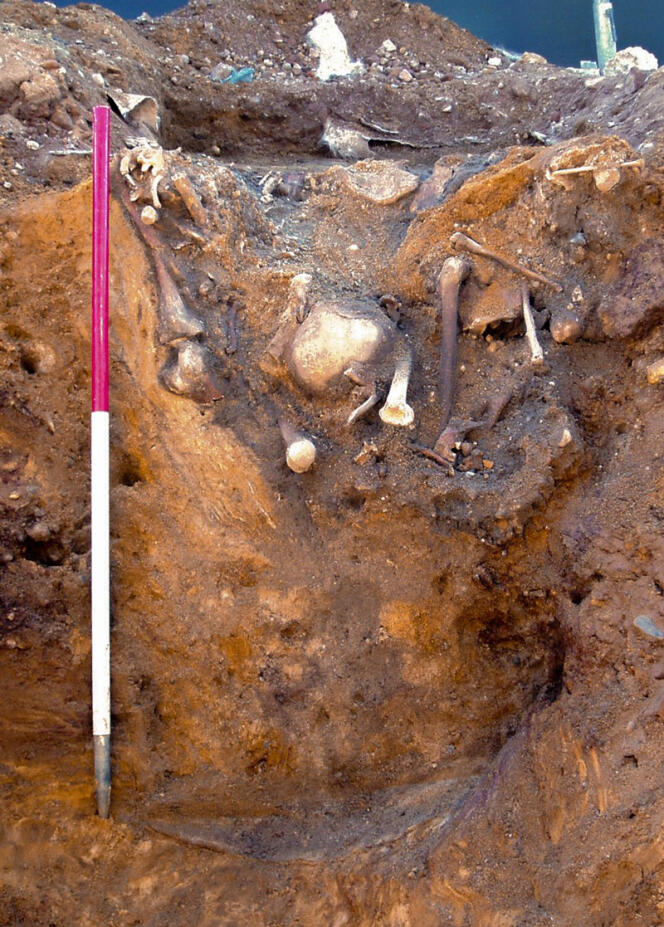 Des ossements humains dans un puits médiéval, à Norwich, en Angleterre. 