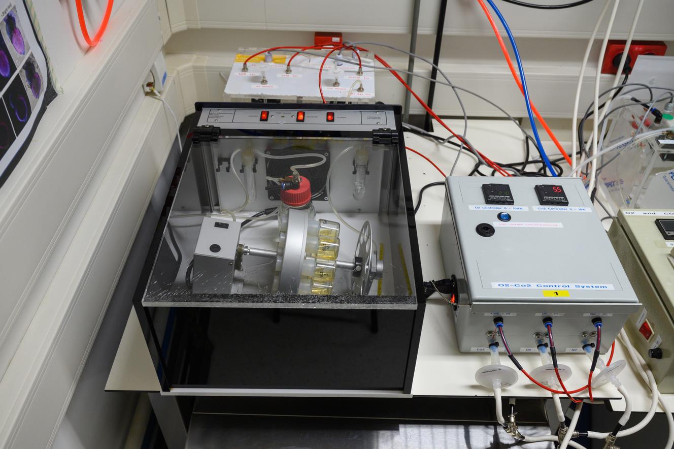 Un utérus mécanique dans le laboratoire de l’Institut Weizmann des sciences, à Rehovot (Israël).