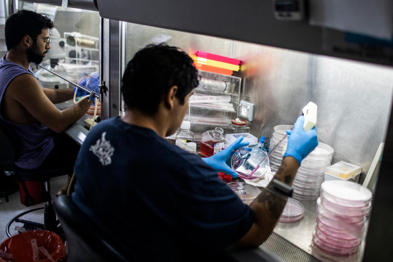 Des membres de l’équipe du professeur Jacob Hanna à l’Institut Weizmann des sciences, à Rehovot (Israël), le 4 août 2022.