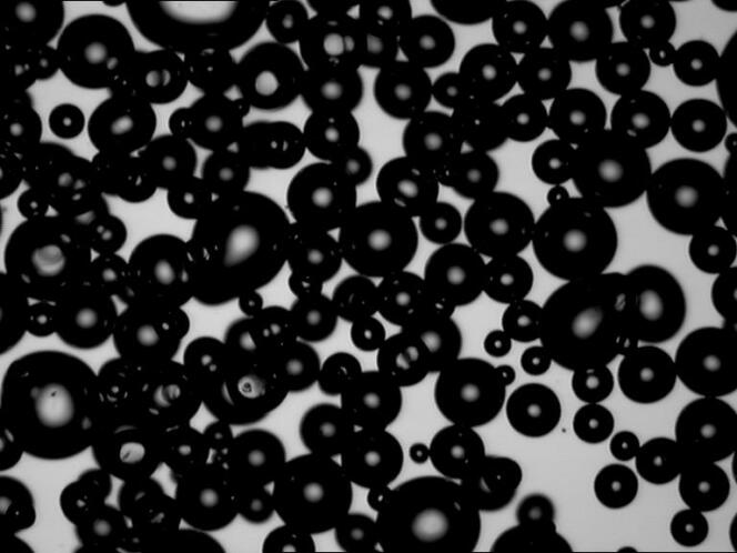Nuées de bulles protégées par une coque en silice pour leur assurer une grande longévité. Les plus grandes font cent micromètres de diamètre.