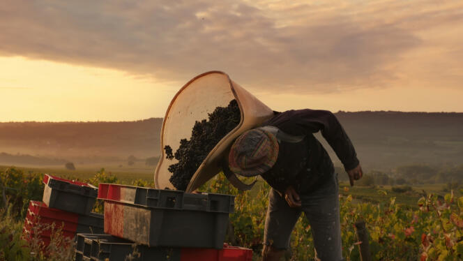 “The Epic of the Winegrowers” ​​(2022), by Emmanuelle Nobécourt.
