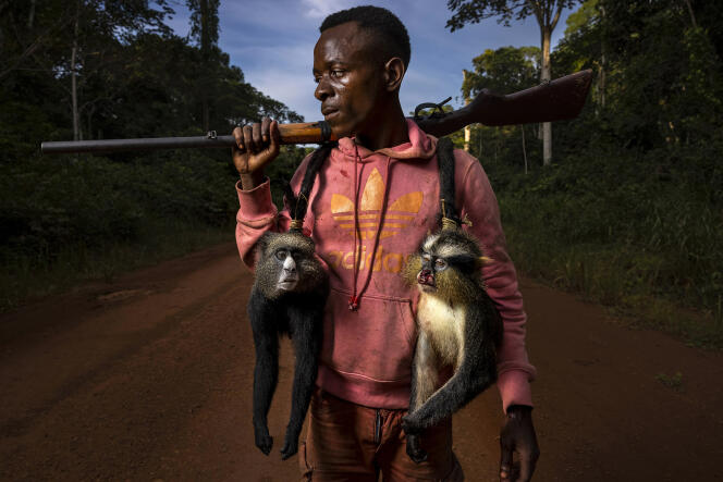 Jonas Manguba, from the Republic of Congo, started hunting with his father at an early age.  As part of an initiative by the Wildlife Conservation Society and the Sustainable Wildlife Management Program, tribes like the Jonas can participate in legal and controlled hunts up to twice a month on the edge of Naubale-Ntogi National Park.