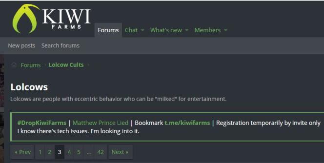 A screenshot from the Kiwi Farms forum.