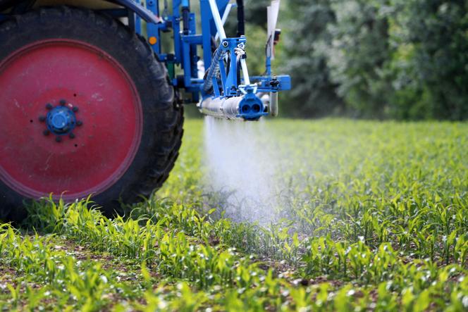 Un agriculteur pulvérise du glyphosate sur des cultures, en Bavière (Allemagne), en juin 2020.