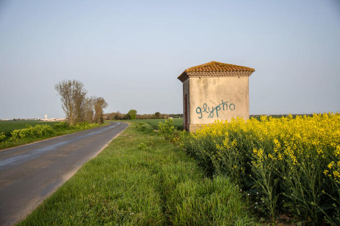 Een inscriptie waarin het gebruik van glyfosaat wordt veroordeeld aan de rand van een koolzaadveld in Saint-Rogatian (Charente Maritime), in april 2021. 