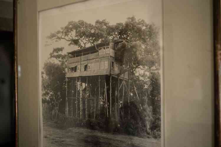 This photo depicts the tree house at Treetops Lodge, Kenya, where Elizabeth stayed the night her father, King George VI, died on February 6, 1952.