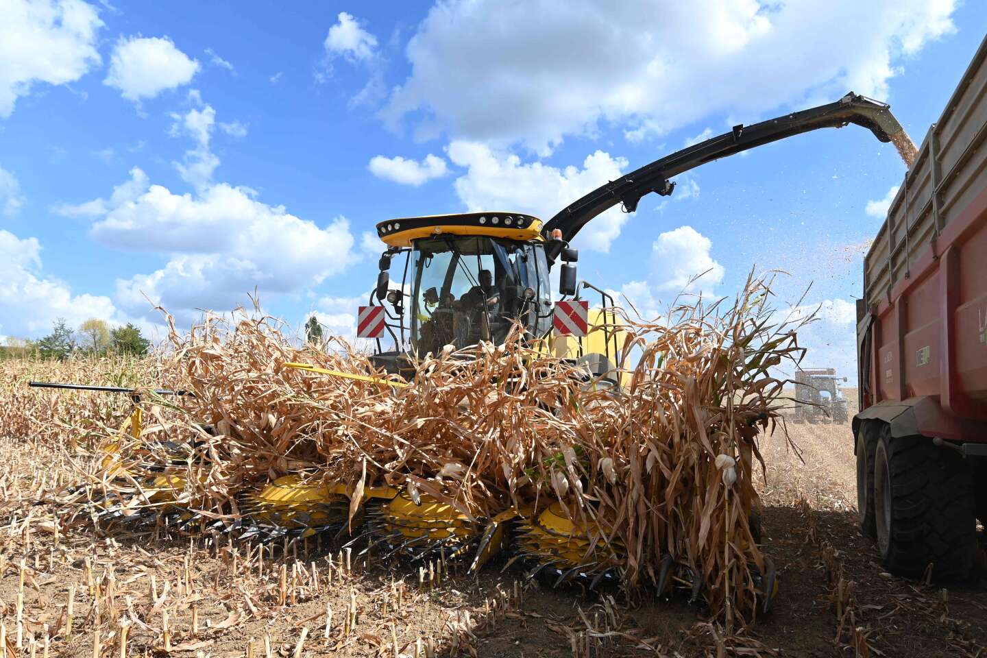 Agriculture : en France, prairies, maïs et pommes de terre ont été les plus affectés par la sécheresse