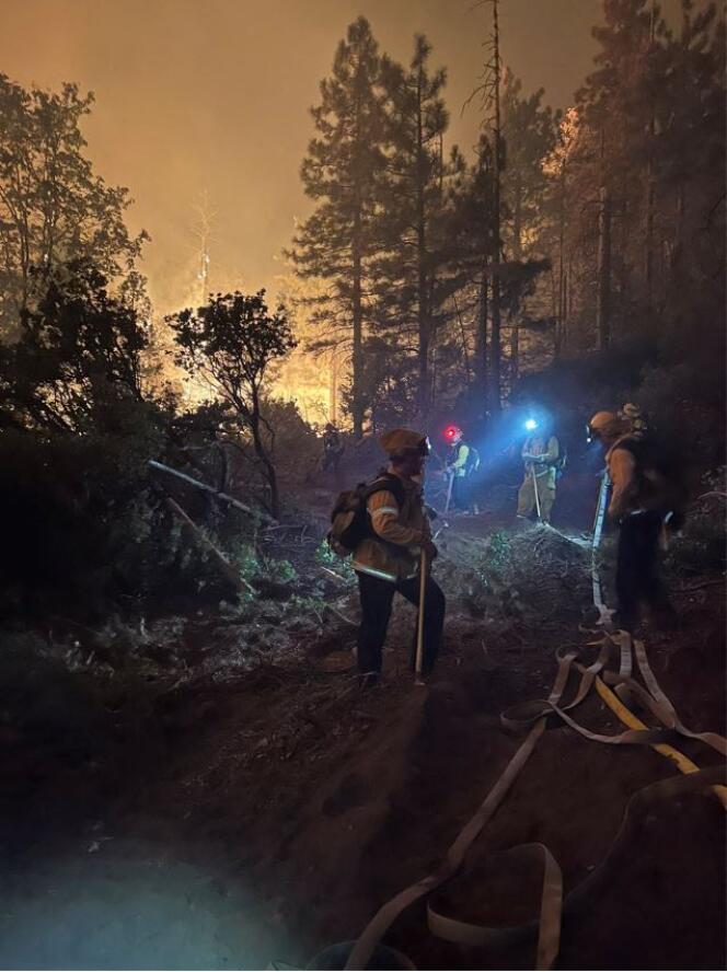 Los bomberos de San Francisco combaten el incendio de mosquitos en las afueras de Sacramento, California, el 11 de septiembre de 2022.