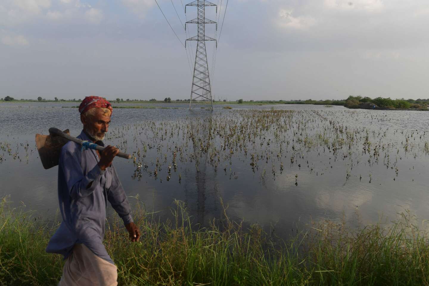 Inondations au Pakistan : la destruction des récoltes met en péril la sécurité alimentaire du pays