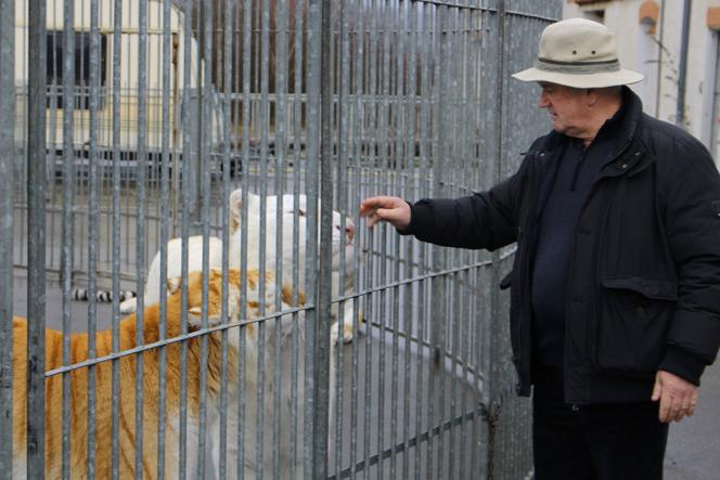 Mario Masson avec deux de ses tigres, à Blacourt (Oise), en janvier 2020.