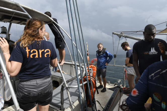 Des membres de la mission « Microbiomes » sur le pont du bateau scientifique « Tara », au large du Sénégal, le 3 septembre 2022.