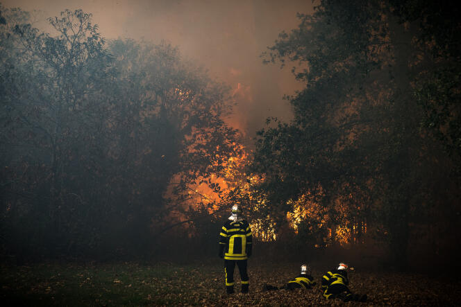 Des pompiers face aux incendies, à Saumos (Gironde), le 13 septembre 2022.