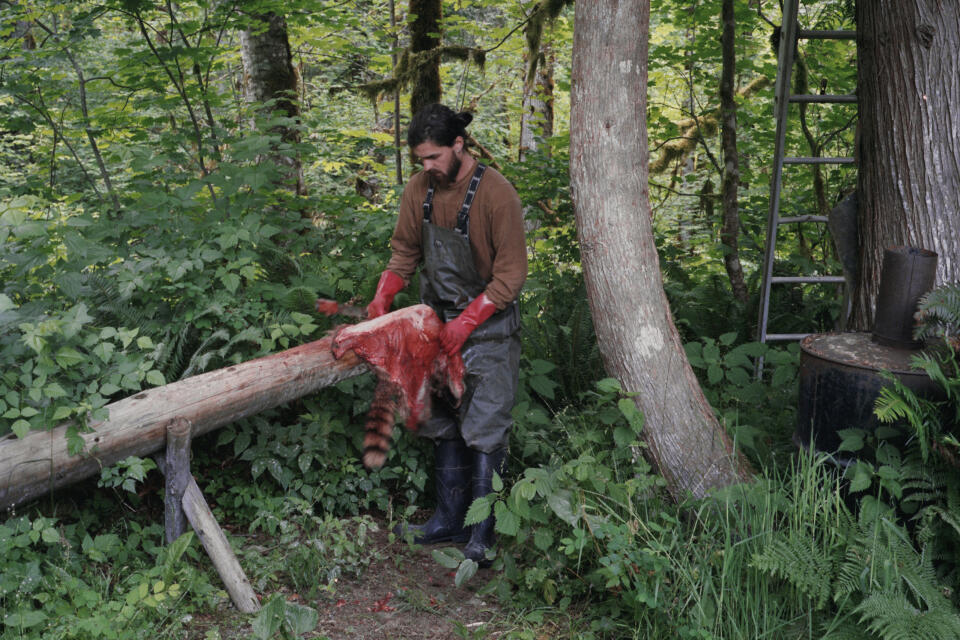 Photo extraite de la série « Scrublands » d’Antoine Bruy, réalisée entre 2010 et 2015: Alex fait partie d’une communauté écologiste à Cascade Range, Etat de Washington, Etats-Unis, 2015, il dépèce un raton laveur ramassé sur la route.