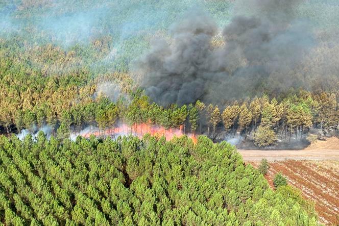 Forest fire in Saumos, in the Southwest, on September 14, 2022.