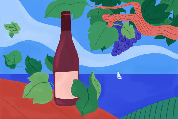 Dossier vin Roussillon_vin léger