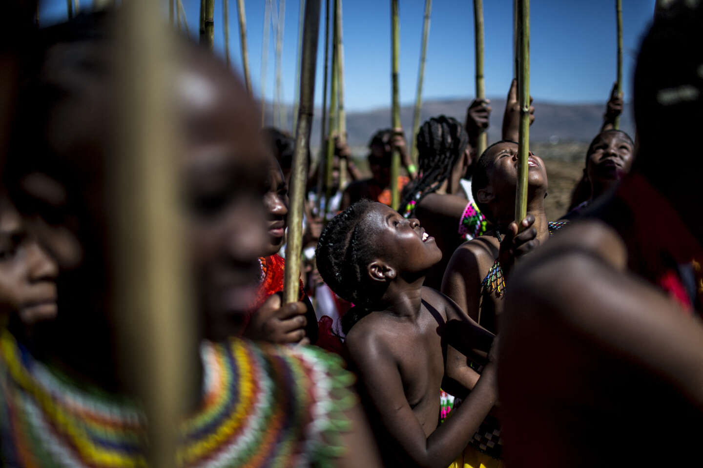 En Afrique du Sud, une « danse des roseaux » sur fond de guerre de succession au trône zoulou