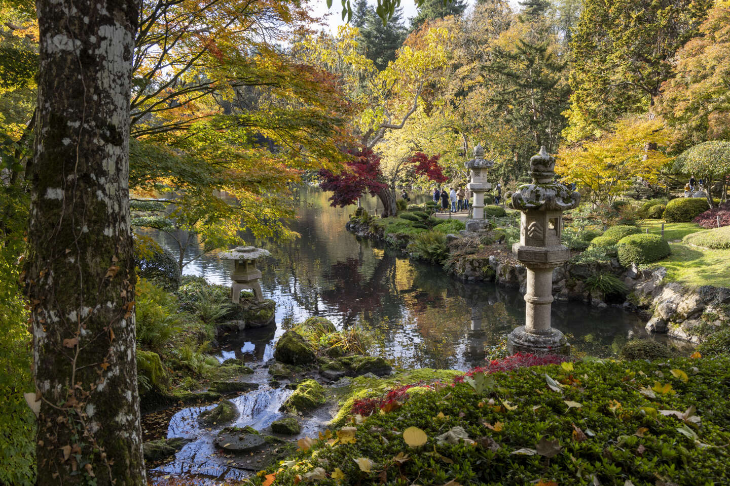 Cinq jardins japonais à visiter à l’automne
