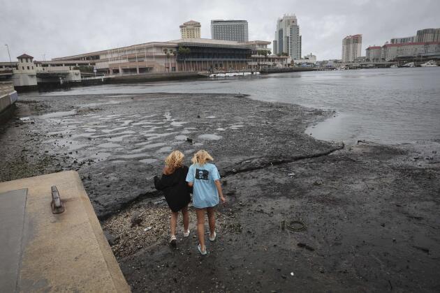 Le long du rivage de la baie de Tampa, en Floride, le 28 septembre 2022.