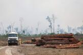 Environnement : le grand saccage des années Bolsonaro au Brésil