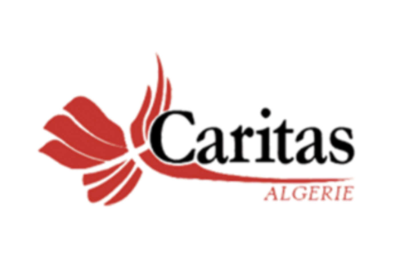 En Algérie, les autorités ordonnent la fermeture de l’association chrétienne Caritas