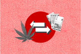 Juicy Fields : les ravages d’une gigantesque arnaque en ligne au cannabis thérapeutique