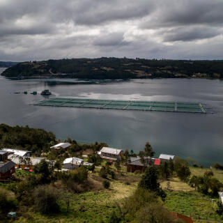 Salmon cages in San Rafel Bajo, Calbuco On Thursday, September 8th. 2022. Puerto Montt. Chile. Cristóbal Olivares pour Le Monde