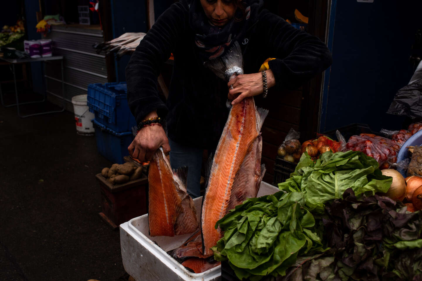 Au Chili, la folle croissance de l’industrie du saumon, visée pour ses conséquences sur l’environnement