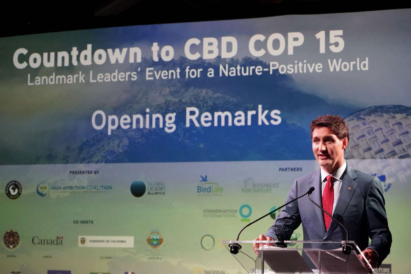 Cruciale pour l’avenir de la planète, la COP15 sur la biodiversité pourrait avoir lieu sans chefs d’Etat