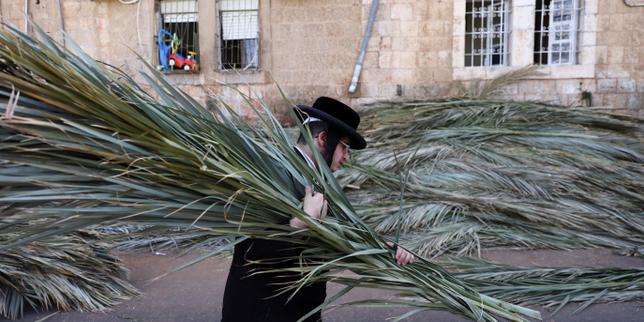 Qu’est-Ce Que Soukkot, La Fête Juive Des Cabanes ?