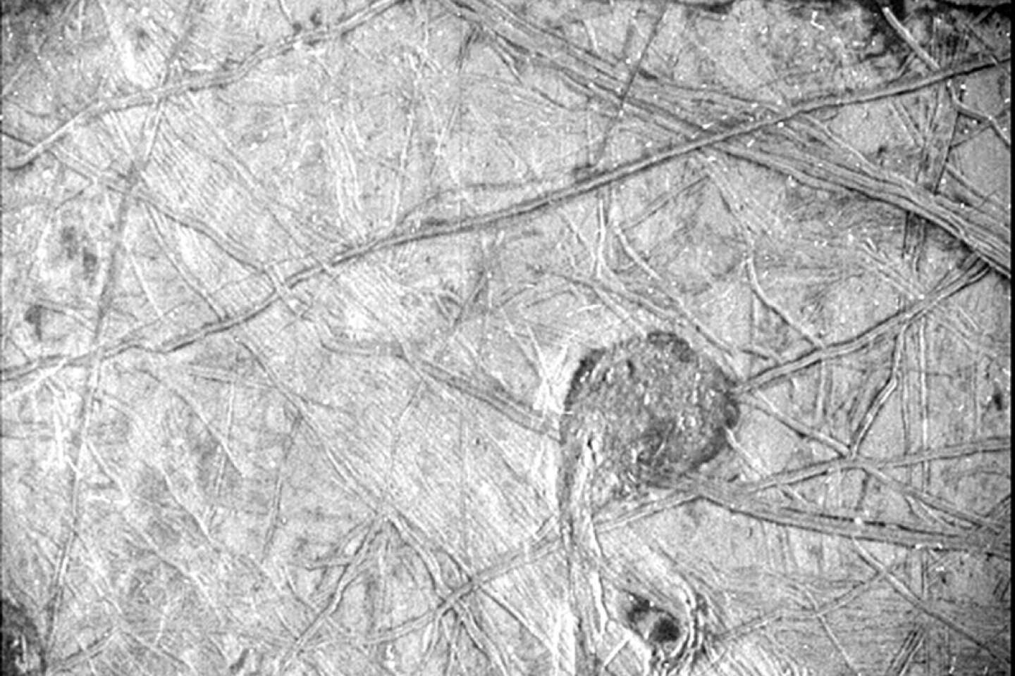 Junos Sonde flog über Europa, den Hauptmond des Jupiter